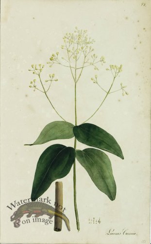 (image for) 1828_Gmp 044