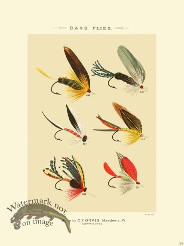 (image for) Favorite Flies 26 Bass