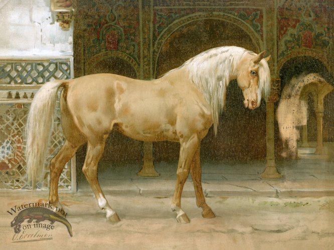 (image for) Andalusian by Eerelman