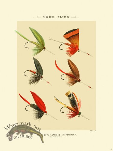 (image for) Favorite Flies 06 Lake