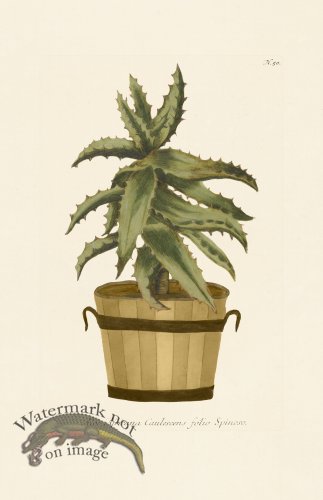 (image for) Weinmann PL 050