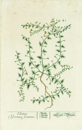 Blackwell German 030