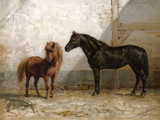 (image for) Ponies by Eerelman