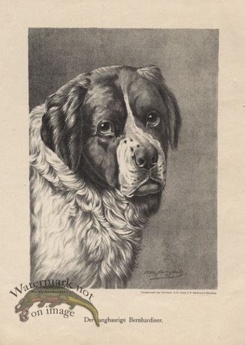(image for) 1890s Dogs 41