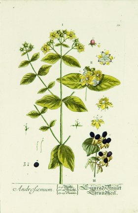 Blackwell German 146