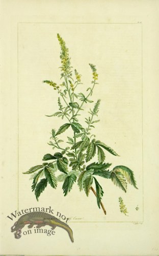 (image for) Philip Miller 080