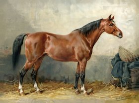 (image for) Mecklenburger Horse by Eerelman