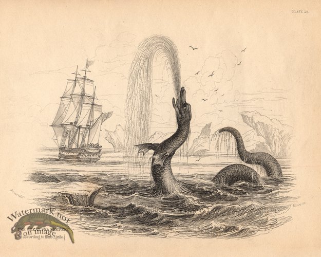 (image for) Great Sea Serpent