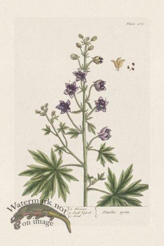 (image for) BEE 265 StaveAcre