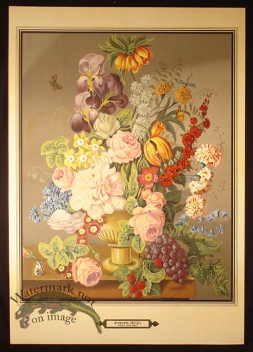 (image for) Botanical 06