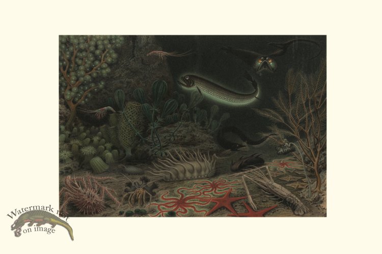 (image for) Underwater 39