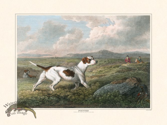 (image for) TSR Pointer