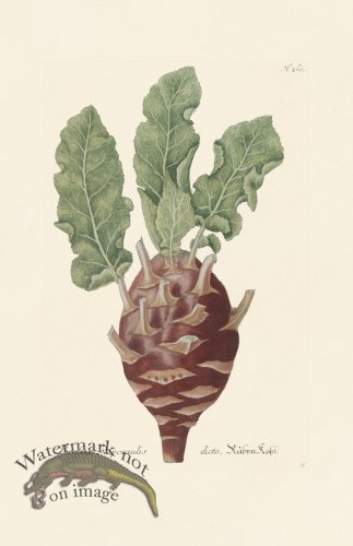 (image for) Weinmann PL 263