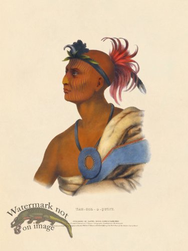 (image for) Tah-col-o-quoit Sauk