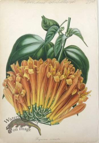 (image for) Houtteano_Bot_023