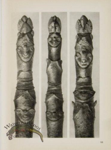 (image for) Blossfeldt T 105