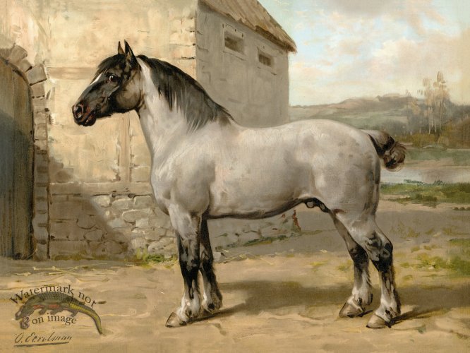 (image for) Brittany Horse by Eerelman