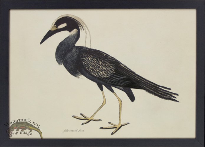 (image for) Tribute BFs 12