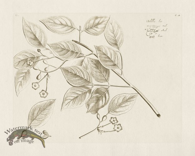 (image for) HORTUS VOL 02 18