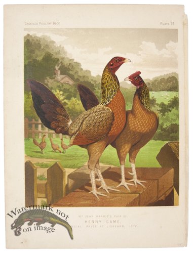 (image for) Henny Game