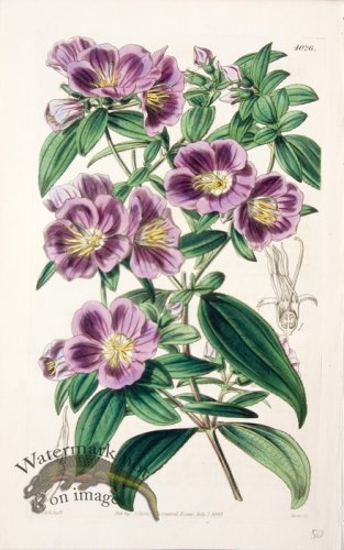 (image for) CBMS_0063