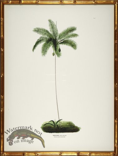 (image for) Palm trees in Gold Bamboo 02