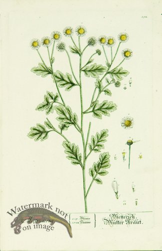 (image for) Blackwell German 140