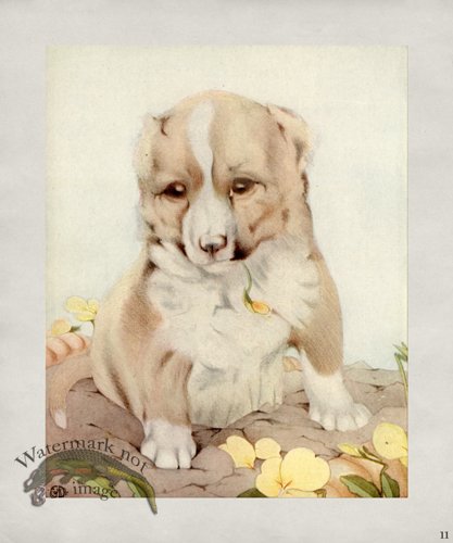 (image for) Puppy Dog 11