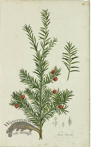 (image for) 1828_Gmp 055