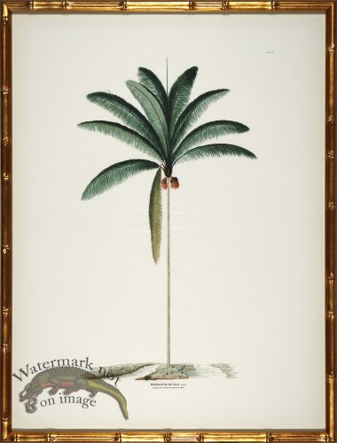 (image for) Palm trees in Gold Bamboo 04