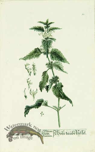 Blackwell German 072