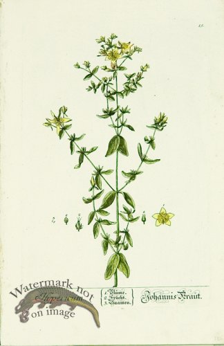 (image for) Blackwell German 104