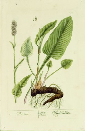 Blackwell German 130