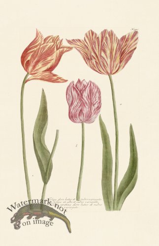 (image for) Weinmann Pl 990