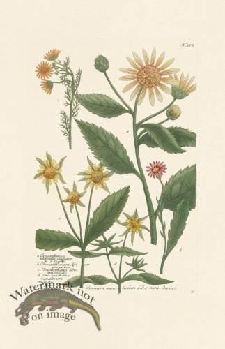 (image for) Weinmann PL 375