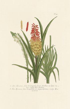 (image for) Weinmann PL 045