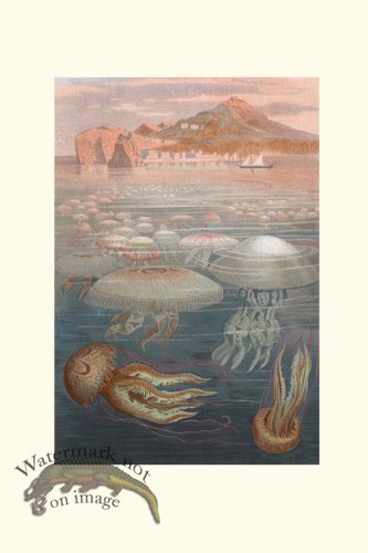 (image for) Underwater 06