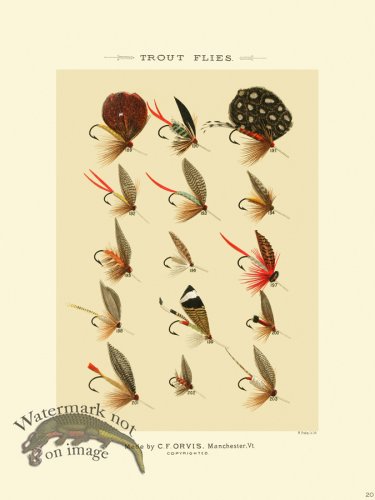 (image for) Favorite Flies 20 Trout