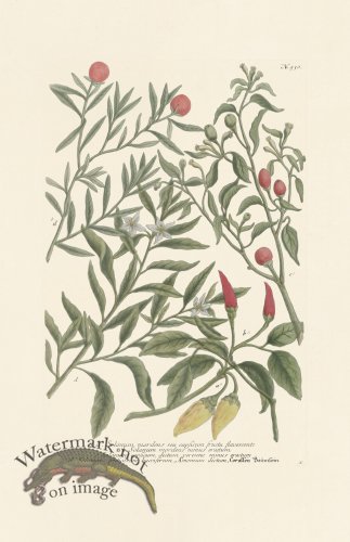 (image for) Weinmann PL 930