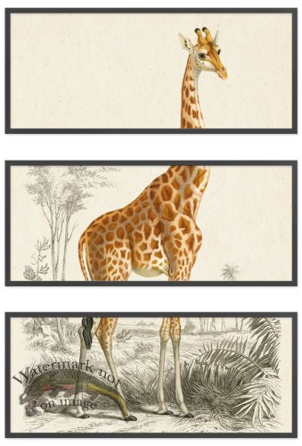 (image for) Giraffe Triptych 02 BF