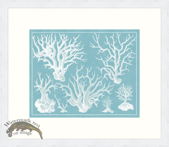 (image for) Seba B2 115 Coral WFBP