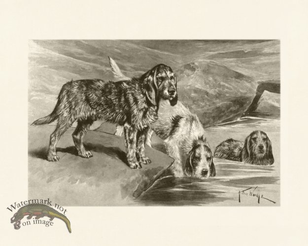 (image for) Modern Dogs 07