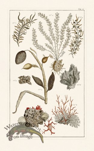 (image for) Seba B2 101