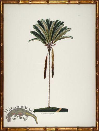 (image for) Palm trees in Gold Bamboo 05