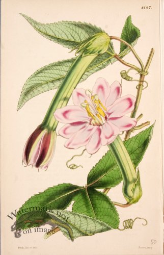 (image for) CBMS_0078