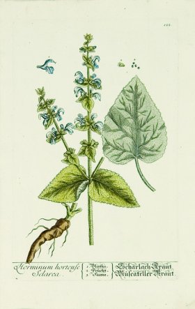 Blackwell German 046