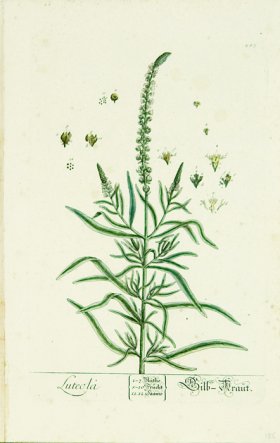 Blackwell German 087