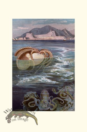 (image for) Underwater 05