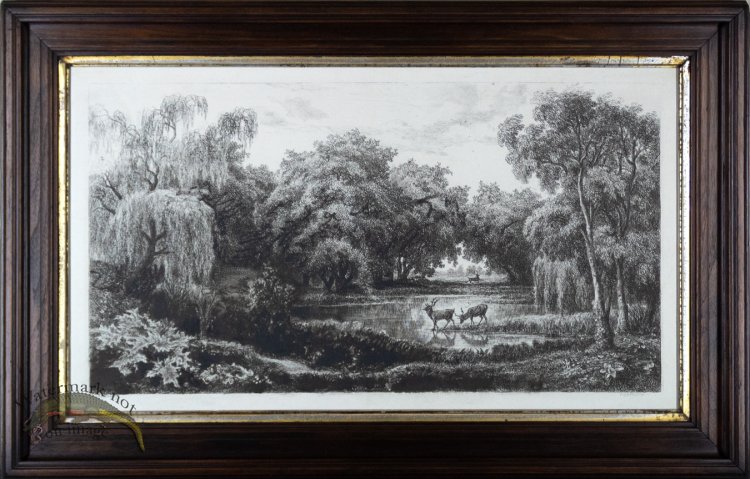 (image for) Deer in the Wood AF