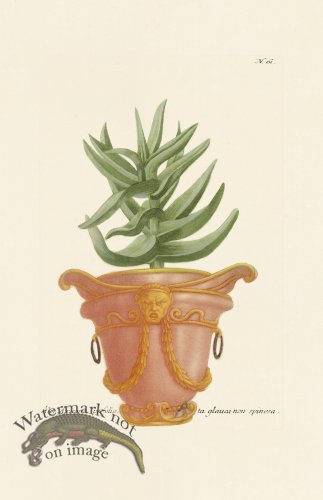 (image for) Weinmann PL 061